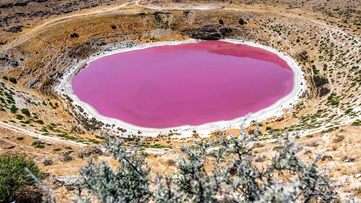 Pembe rengi ile ünlenen Meyil Obruk Gölü tamamen kurudu! Son hali içler acısı